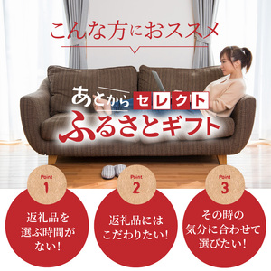 あとからセレクト【ふるさとギフト】30万円
