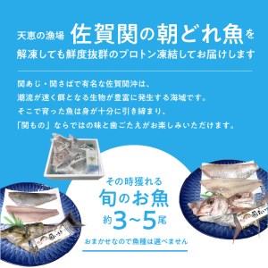 佐賀関産　朝獲れ鮮魚　おまかせ詰め合わせ　約2kg