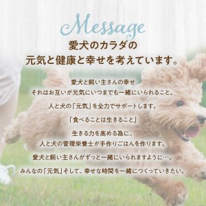 R15007　ドッグフード　無添加　ダイエットごはん3点セット　【犬の手作りごはん】