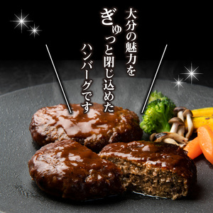 大分の恵みハンバーグ約1.6㎏(約160g×10個)