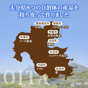 大分の恵みハンバーグ約1.6㎏(約160g×10個)