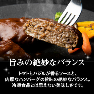 大分の恵みハンバーグ約1.6㎏(約160g×10個)
