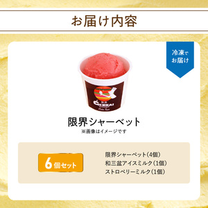 【母の日ギフト】 限界シャーベット 6個セット ≪5月10日お届け≫ J06018-H