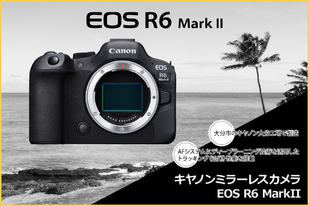 R14150 キヤノンミラーレスカメラ EOS R6 Mark Ⅱ フルサイズミラー 