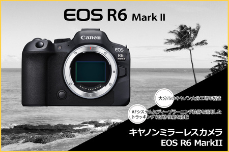 R14152 キヤノンミラーレスカメラ EOS R6 Mark Ⅱ・RF24-105 L IS USM レンズキット　フルサイズミラーレスカメラ　デジタル一眼ノンレフレックスAF・AEカメラ キヤノンミラーレスカメラ canon カメラ
