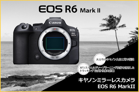 ☆付属品付き☆Canon EOS R6 キヤノン ミラーレス一眼 フルサイズ 