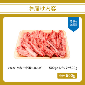 厳選A4～A5等級 おおいた和牛 中落ちカルビ 500g