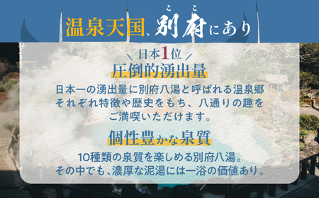 【30,000円分】大分県 別府市 の 対象 ツアー に 使える HIS ふるさと納税 クーポン 寄附額100,000円 旅行 旅 トラベル お出かけ 温泉 家族旅行 観光 ホテル 旅館 温泉宿 チケット 電子クーポン 旅券 HISふるさと納税 九州 宿泊予約 _B166-001