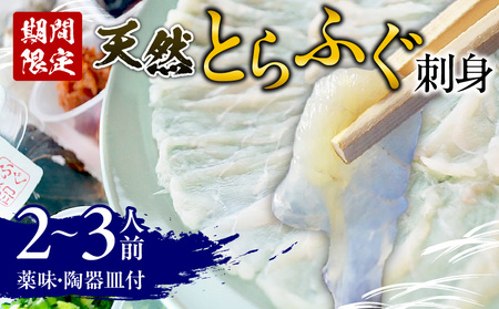 ＜期間限定＞ 天然とらふぐ 刺身 2～3人前_B149-001