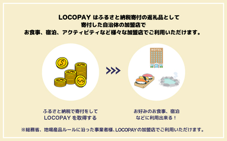 LOCOPAYデジタル返礼ポイント【3,000ポイント】_B167-001
