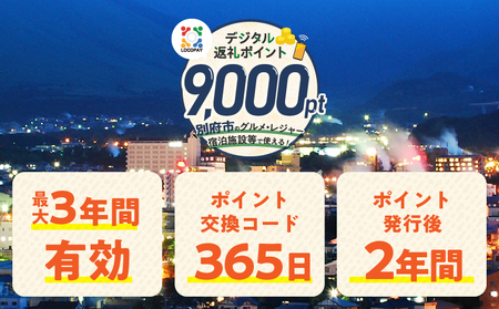 LOCOPAYデジタル返礼ポイント【9,000ポイント】_B167-002