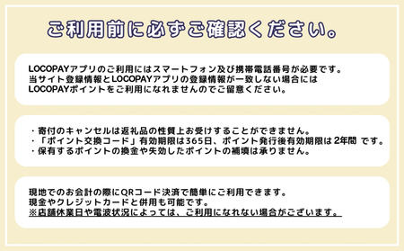 LOCOPAYデジタル返礼ポイント【9,000ポイント】_B167-002