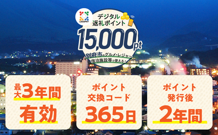 LOCOPAYデジタル返礼ポイント【15,000ポイント】_B167-003