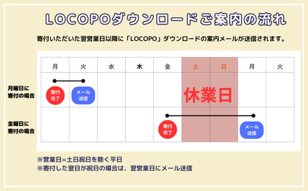 LOCOPOデジタル返礼ポイント【30,000ポイント】_B167-004