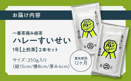 一番茶摘み緑茶ハレーすいせい1号(上煎茶)250g　2本セット_B079-011