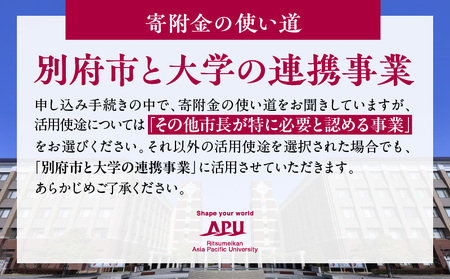 【返礼品なし】立命館アジア太平洋大学(APU)学生と地域との交流事業への応援寄付(1口2000円)_B001-057