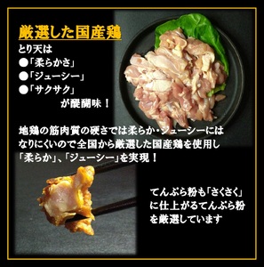 別府名物とり天_B172-006