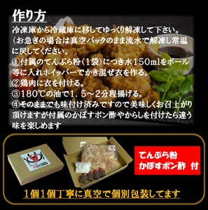 別府名物とり天_B172-006