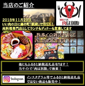 別府名物とり天_B172-006