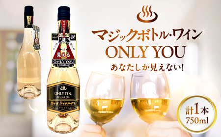 マジックボトル・ワイン ONLY YOU1本(750ml)_B115-019