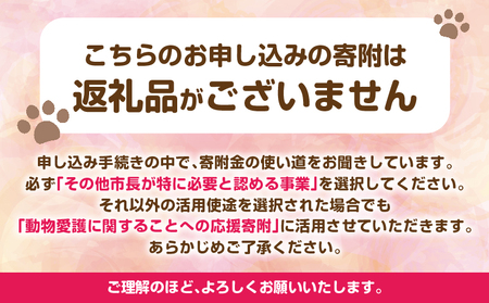 【返礼品なし】動物愛護に関することへの応援寄附(3,000円)_B001-067