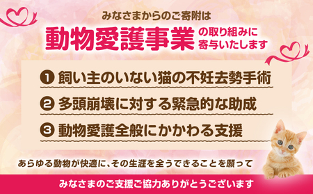 【返礼品なし】動物愛護に関することへの応援寄附(50,000円)_B001-069