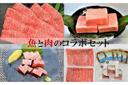 魚と肉のコラボセット 本マグロ中トロ300ｇ りゅうきゅう5人前 豊後牛肩ロースすきやき3人前900ｇ 大分県別府市 ふるさと納税サイト ふるなび