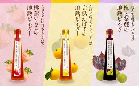 別府鉄輪 地熱ビネガー3種とセミドライフルーツ2種セット_B009-002