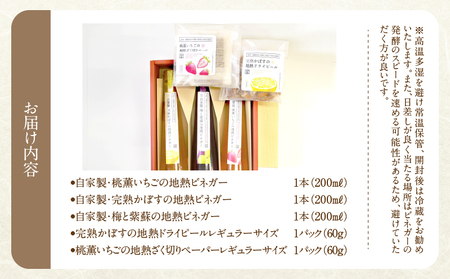 別府鉄輪 地熱ビネガー3種とセミドライフルーツ2種セット_B009-002