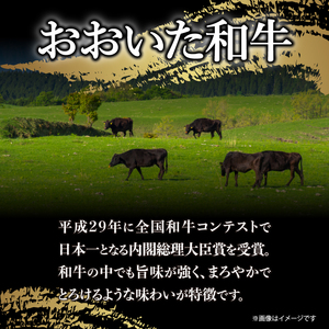 【ホテルクオリティ】4等級以上 高級焼肉が手軽にご家庭で おおいた和牛 カルビ _B028-001【ふるさと納税 国産 おおいた和牛 4等級 牛肉 焼肉 カルビ サーロイン バラ肉 お肉 肉 ギフト のし対応可 冷凍 ミカド肉店 お取り寄せ お取り寄せグルメ 大分県 別府市 送料無料  】