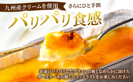 九州産クリームチーズ使用　濃厚チーズブリュレと濃厚抹茶チーズケーキセット_B048-001