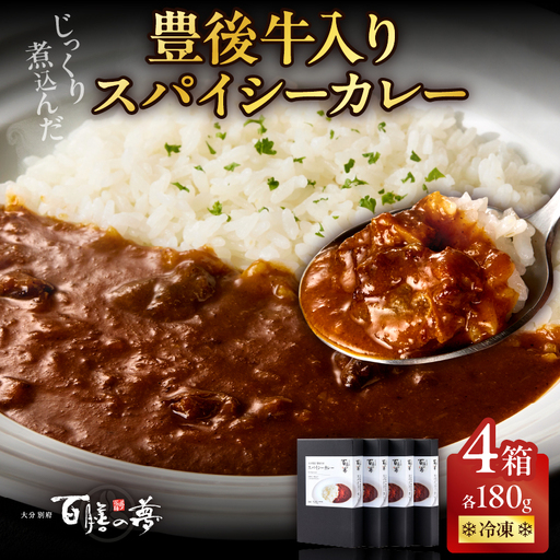 百膳の夢　豊後牛入りスパイシーカレーギフト_B081-010