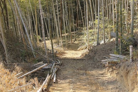 青竹里山収穫篭【別府竹細工】【山下工芸】_B095-004 | 大分県別府市