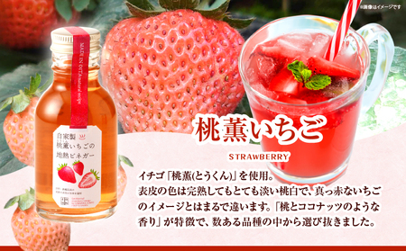 地熱ビネガーミニボトル３種セット_B009-004