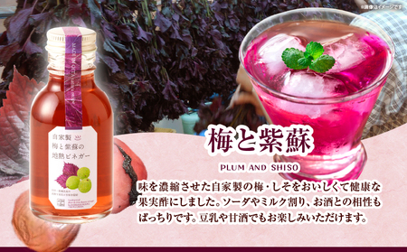 地熱ビネガーミニボトル３種セット_B009-004