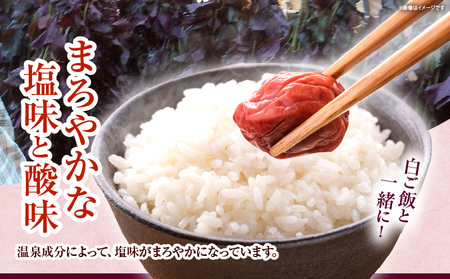 温泉うめぼし3箱ギフト_B009-006