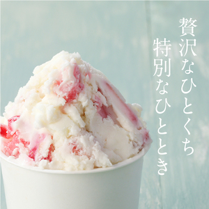 手作りアイスクリーム！ジェノバの人気アイス　お試し2個セット〈130ml×2個〉_B006-002