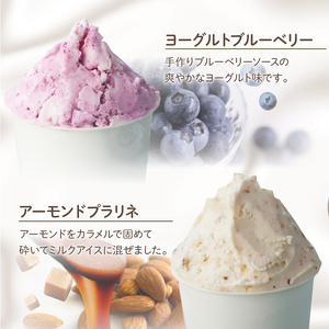 別府発！手作りアイスクリーム ジェノバ人気の5種類セット〈130ml×5個〉_B006-003