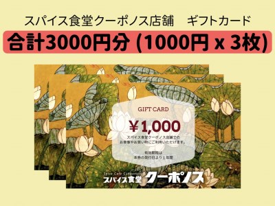 スパイス食堂クーポノス　ギフトカード3000円分（1000円×3枚）_B020-006