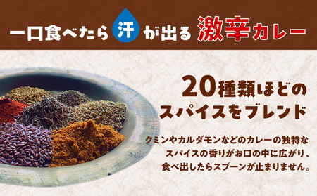 日本上陸【おうちで本格ベトナム料理】サッチャムチキンカレー（3食セット）_B020-008