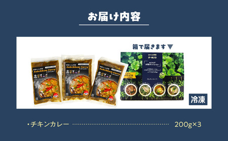 日本上陸【おうちで本格ベトナム料理】サッチャムチキンカレー（3食セット）_B020-008