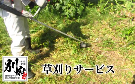 【別府市限定】草刈りサービス 20㎡まで_ B156-001【ふるさと納税 別府市内限定 草刈りサービス 20平方メートルまで 要事前連絡 草取り 除草 雑草抜き 草引き 草むしり 芝刈り 草刈り代行 代行サービス 草の処分 別府市】