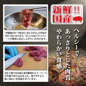 青とうがらしの辛味が効いた“特製塩だれ”で漬け込んだ 【BBQ専科】味付け豚ハラミ1.05kg_B140-009