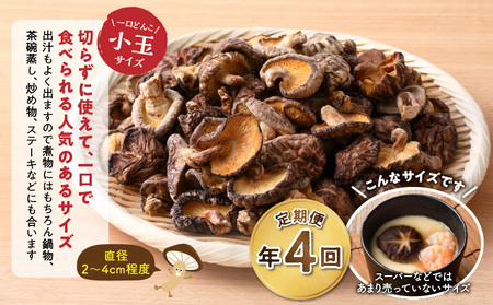 【定期便年4回（3ヵ月に1回）】大分県産小玉どんこ椎茸350g 原木栽培 干し椎茸_B063-021