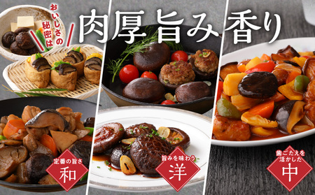 【定期便年4回（3ヵ月に1回）】大分県産小玉どんこ椎茸350g 原木栽培 干し椎茸_B063-021