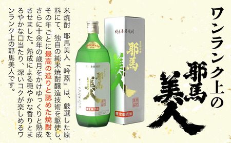 ふるさと納税 耶馬美人 25度 米焼酎 1800ml×2本 大分県中津市の地酒 焼酎 酒 アルコール 1.8L 一升瓶 大分県産 中津市 熨斗対応可 大分県中津市 耶馬美人 米焼酎 25度 1,800ml