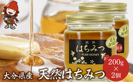 天然はちみつ 200g 2個 国産 日本 蜂蜜 非加熱 はちみつ ハチミツ 百花蜂蜜 大分県産 九州産 中津市