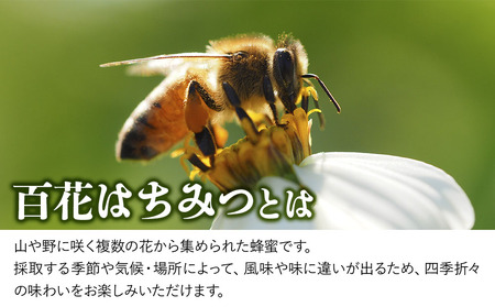 天然はちみつ 500g 国産 日本 蜂蜜 非加熱 はちみつ ハチミツ 百花蜂蜜 大分県産 九州産 中津市