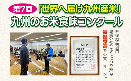 【先行予約】【9ヶ月定期便】九州米・食味コンクール最優秀賞受賞 令和6年産 大分県中津産やまくに誉 つや姫 5kg×2袋 (毎月1回)   お米 精米 白米 九州産 熨斗対応可 お米 おいしい米 高評価米 中津市米 大分県米 九州米