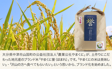 【先行予約】【9ヶ月定期便】九州米・食味コンクール最優秀賞受賞 令和6年産 大分県中津産やまくに誉 つや姫 5kg×2袋 (毎月1回)   お米 精米 白米 九州産 熨斗対応可 お米 おいしい米 高評価米 中津市米 大分県米 九州米